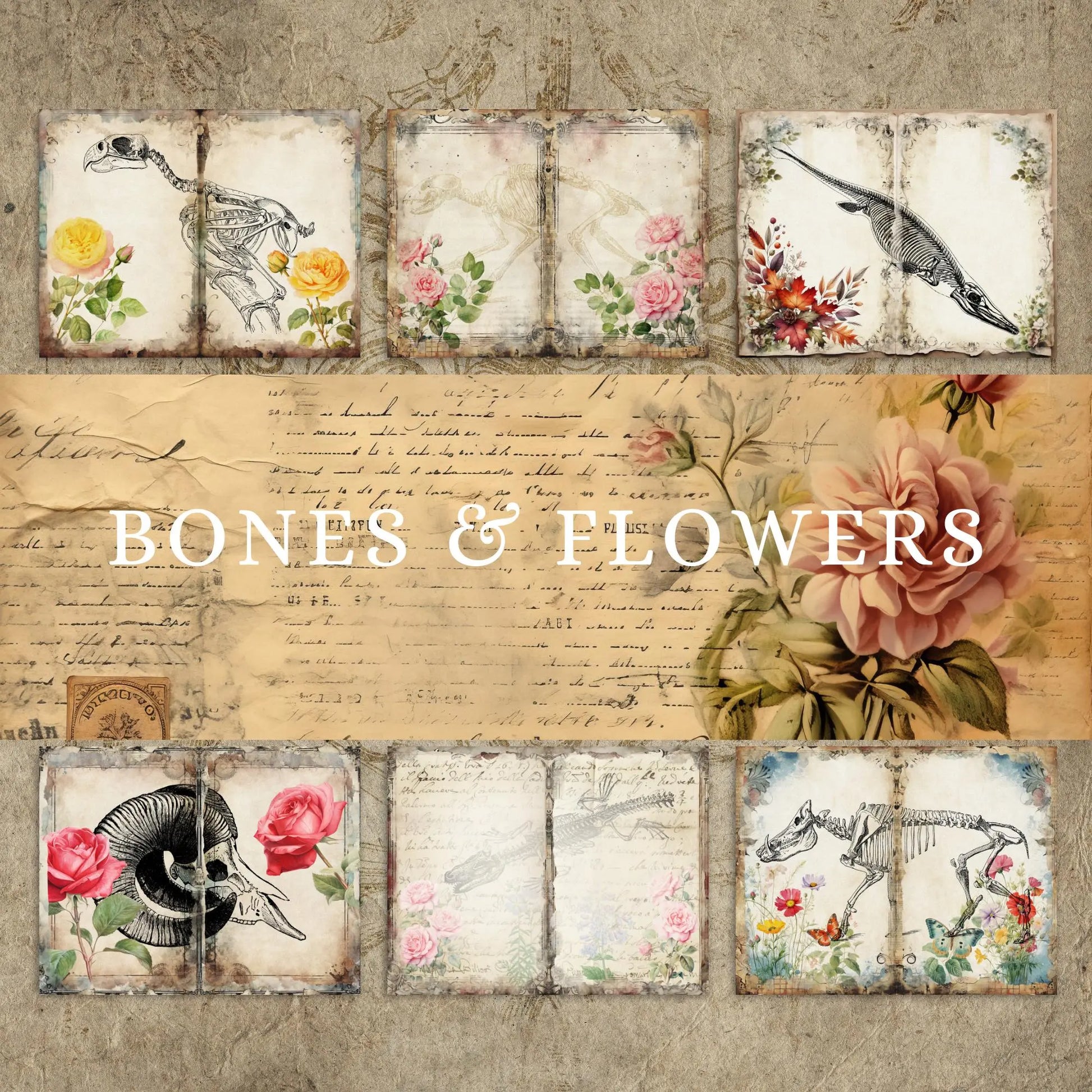 Bones & Flowers Junk Journal Paper Pack: Edwardian Ephemera (Digital Download) Rainbow Chaos Art Studio