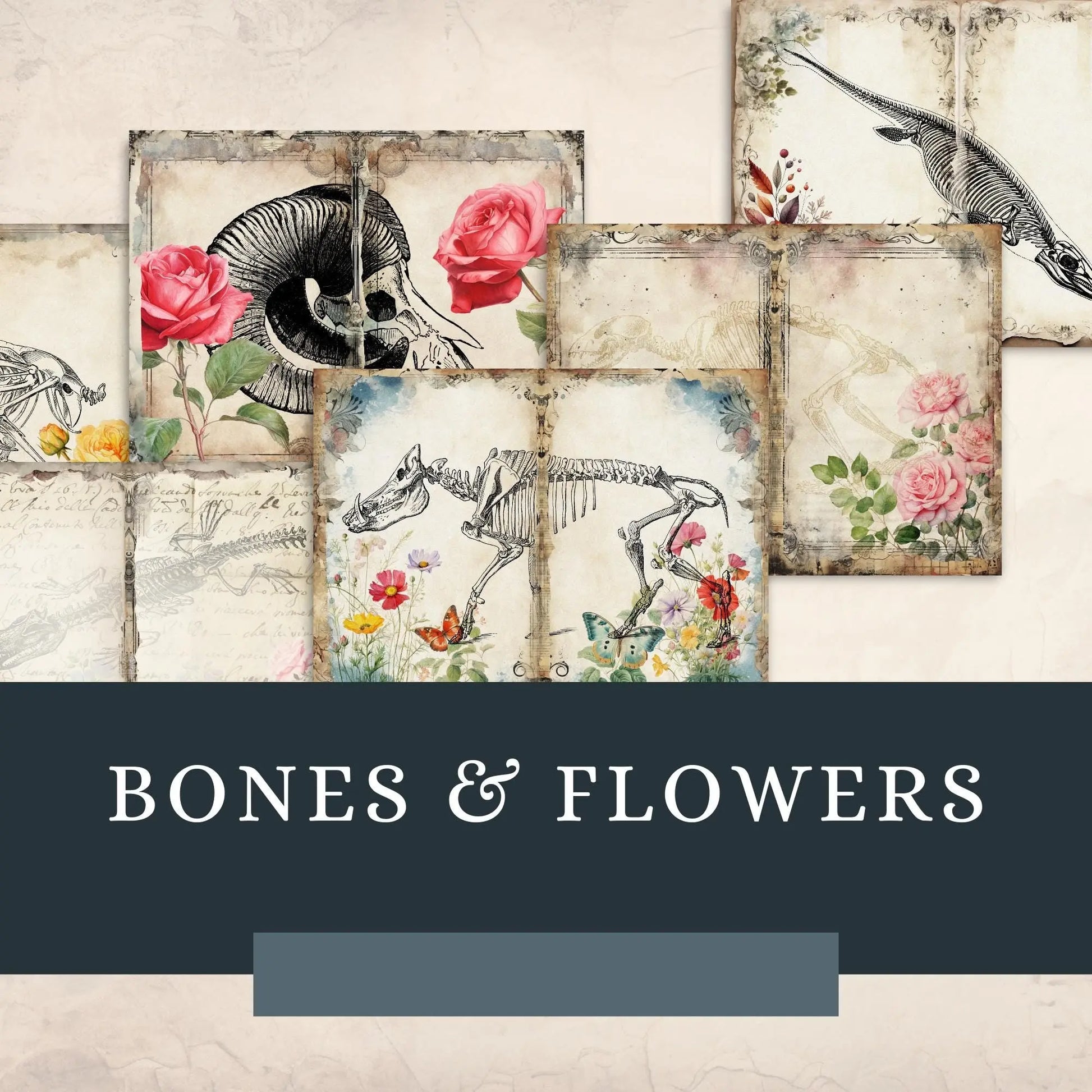 Bones & Flowers Junk Journal Paper Pack: Edwardian Ephemera (Digital Download) Rainbow Chaos Art Studio